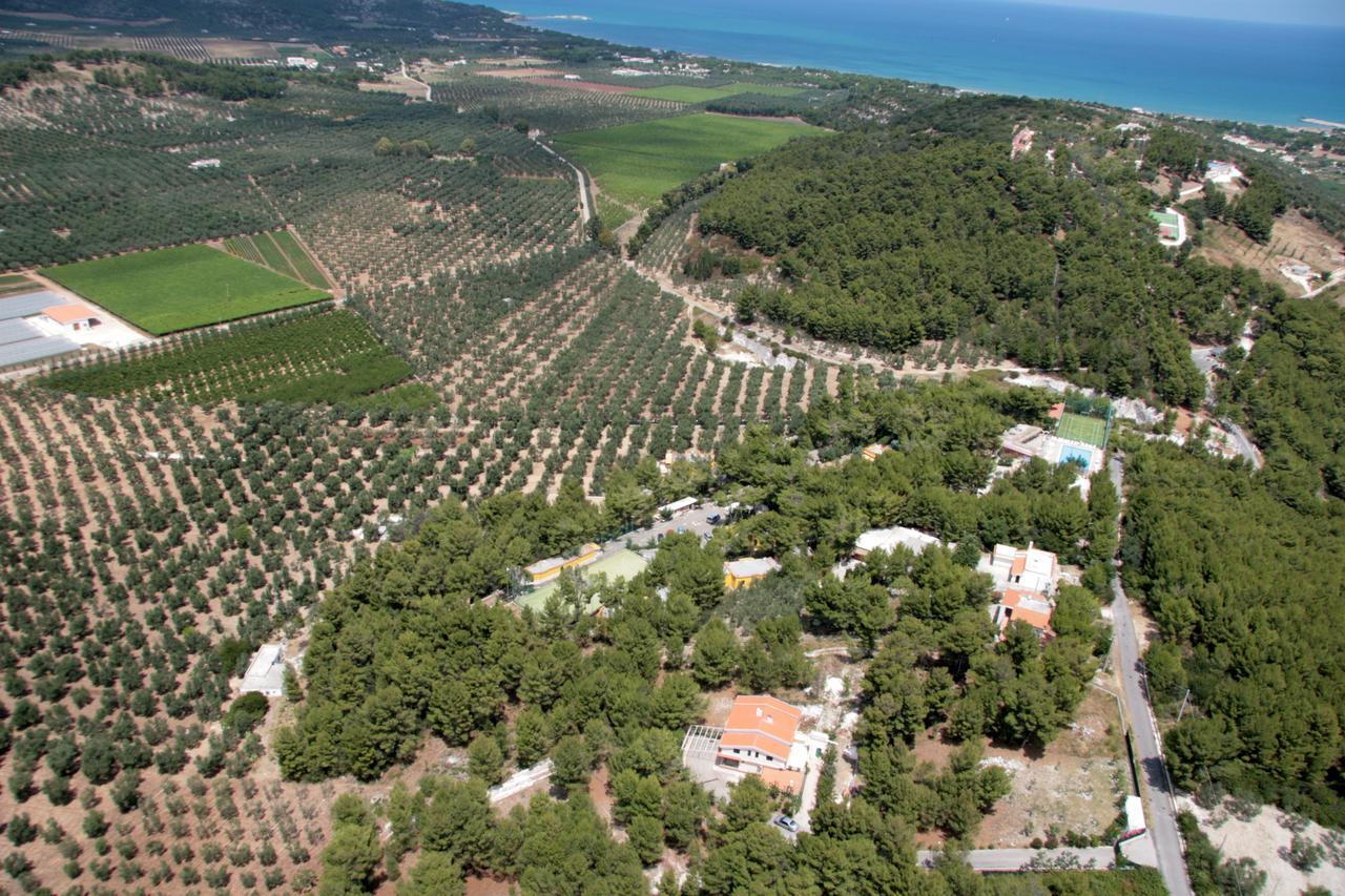 Villaggio Elisena Vieste Kültér fotó