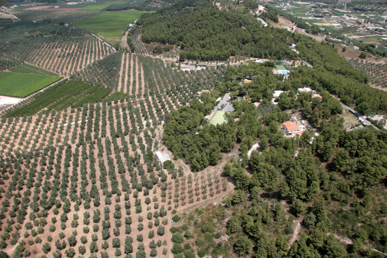 Villaggio Elisena Vieste Kültér fotó